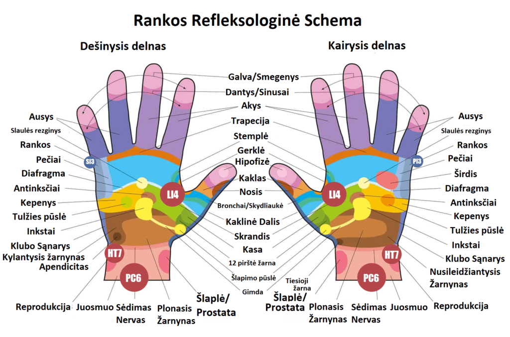 Rankos Taskai 2